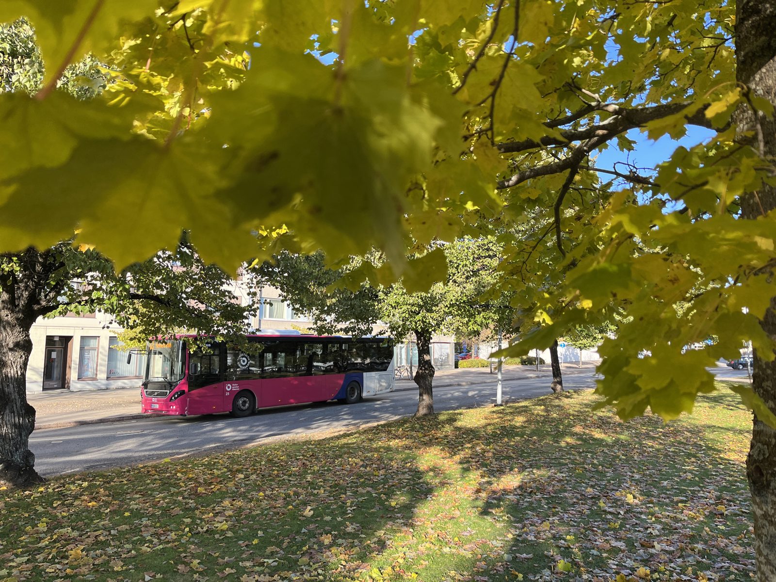 OSL:n linja-auto ajaa Oulun keskustassa syksyllä.